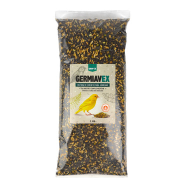 Semilla para germinar -...