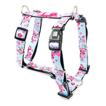 Pecho Cherry Bloom para...