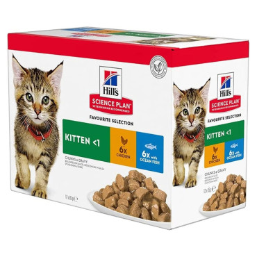 Hill's Kitten - Alimento en...