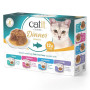 Catit Cuisine Dinner...