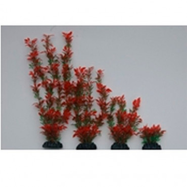 Planta Plástica 30cm Verde/Vermelha em Blister