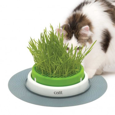 CATIT - Senses 2.0 Grass Planter Germinator
