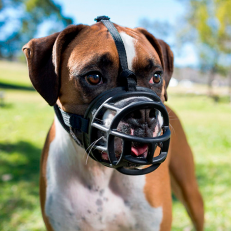Baskerville Ultra Muzzle