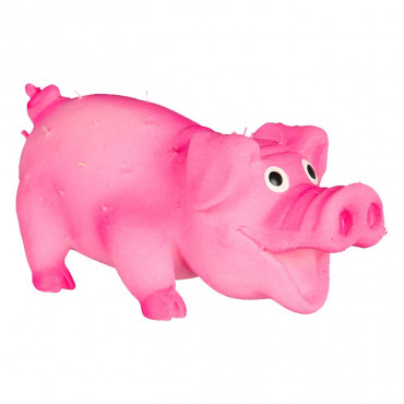 Porco em Latex