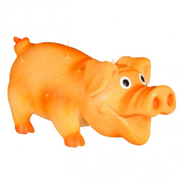 Porco em Latex