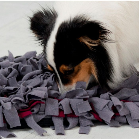 Jogo de estratégia SNIFFING CARPET