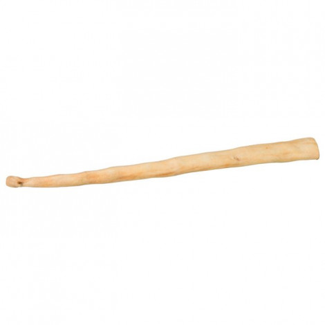 Cauda de búfalo