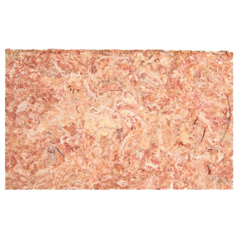Musgo SPHAGNUM - Substrato Tropical
