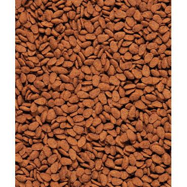 NutriBird G14 Original - Manutenção