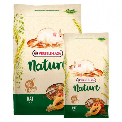 NATURE - Rat