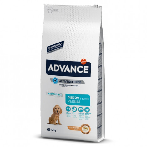 Advance - Medium Puppy