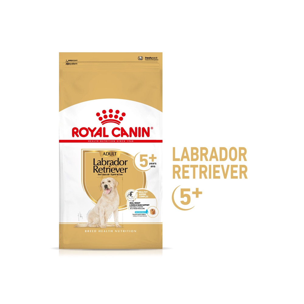 Royal Canin Labrador Retriever 5+ Cão Adulto Royal Canin Labrador Retriever 5+ Cão Adulto