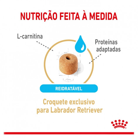 Royal Canin Labrador Retriever 5+ Cão Adulto
