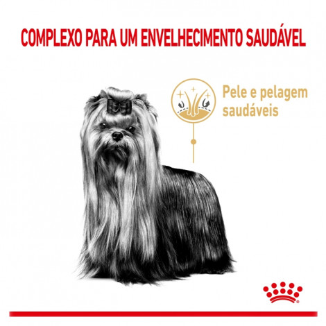 Royal Canin Yorkshire Terrier 8+ Cão Adulto