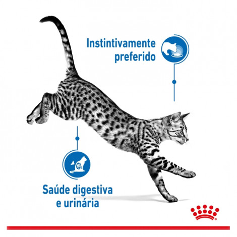 Royal Canin Indoor Gato Esterilizado - Em molho