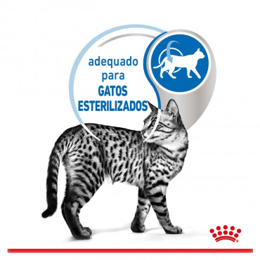 Royal Canin Indoor Gato Esterilizado - Em molho