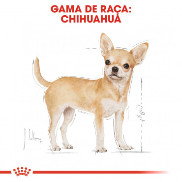 Royal Canin - Chihuahua