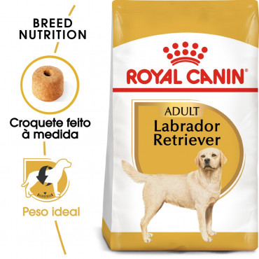 Royal Canin - Labrador Retriever