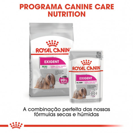 Royal Canin - Mini Exigent - Goldpet