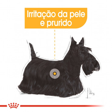 Royal Canin - Mini Dermacomfort