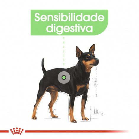 Royal Canin - Mini Digestive Care