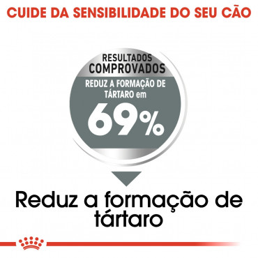 Royal Canin CCN Dental Care Cão Mini