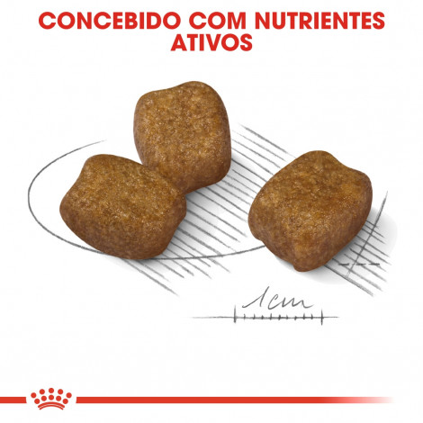 Royal Canin CCN Dental Care Cão Mini