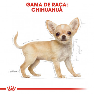 Royal Canin - Chihuahua Puppy - Ração para Cão | Goldpet