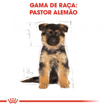 Royal Canin - Pastor Alemão Puppy - Ração de Cão | Goldpet
