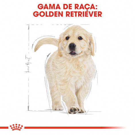 Royal Canin - Golden Retriever Puppy