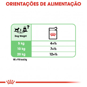 Royal Canin CCN Húmida Digestive Care Cão