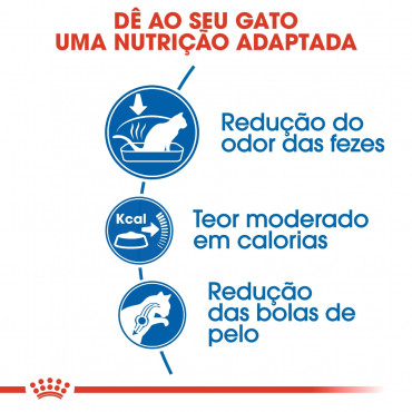 Ração para gato Royal Canin Indoor