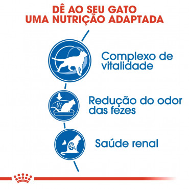 Ração para gato Royal Canin Indoor 7+