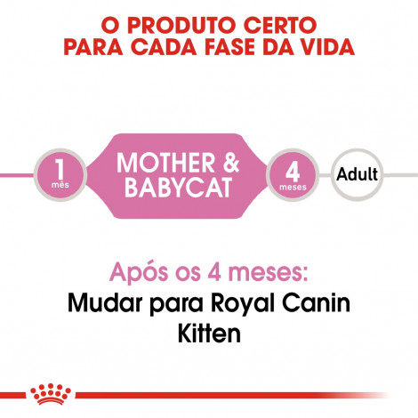 Ração para gato Royal Canin Wet Mother and Babycat
