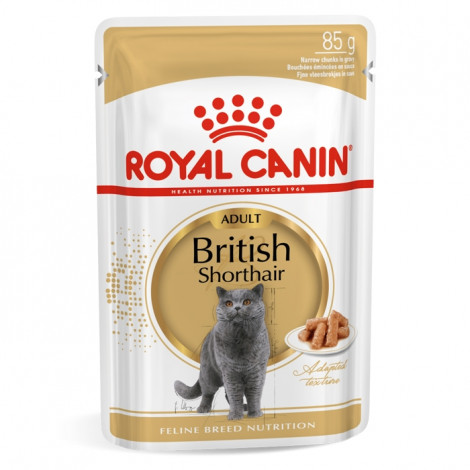 Ração para gato Royal Canin Wet British Shorthair
