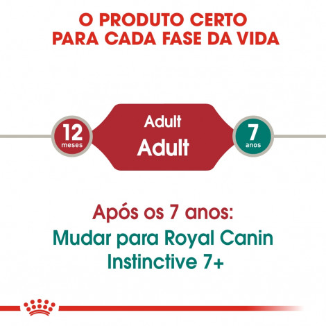 Ração para gato Royal Canin Wet Instinctive Jelly