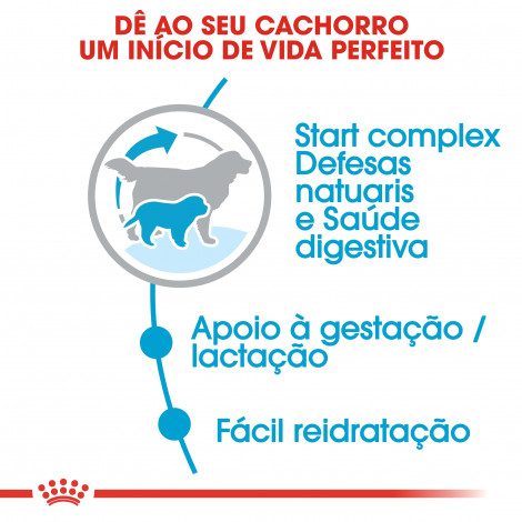 Ração para cão Royal Canin Giant Starter Mother & Babydog