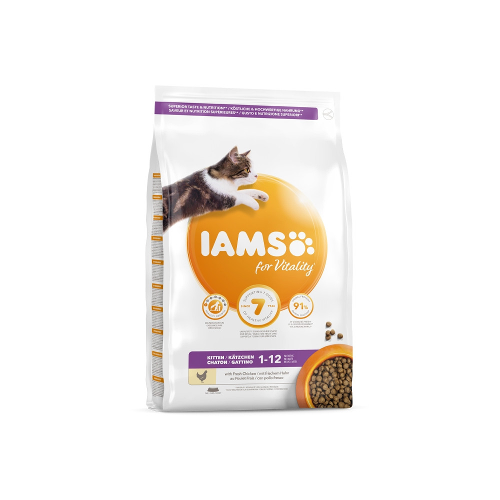 Iams Gato Kitten