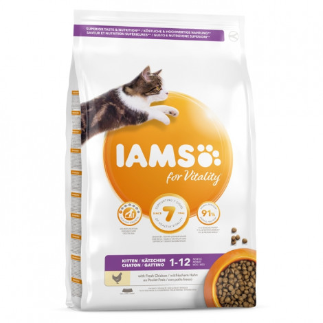 Iams Gato Kitten