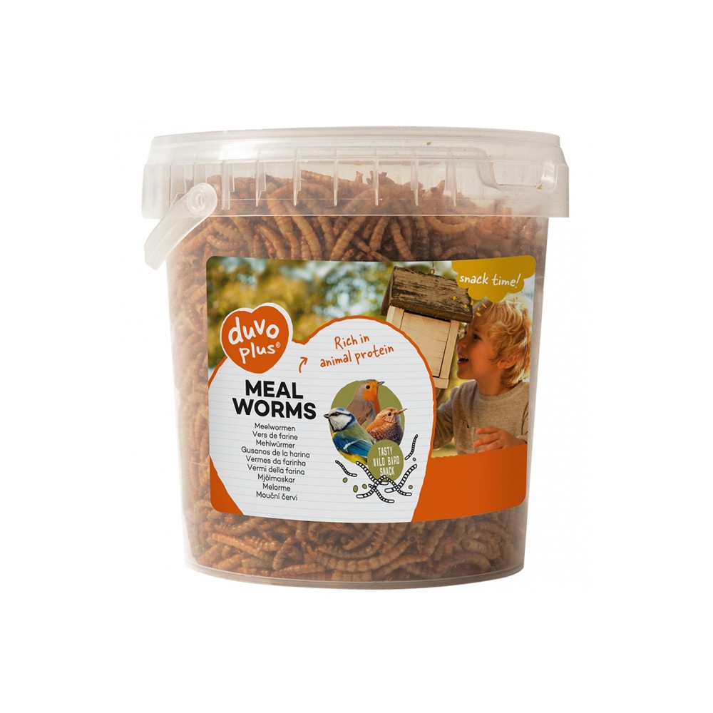 Duvo+ Meal Worms Snacks para aves selvagens Duvo+ Meal Worms Snacks para aves selvagens