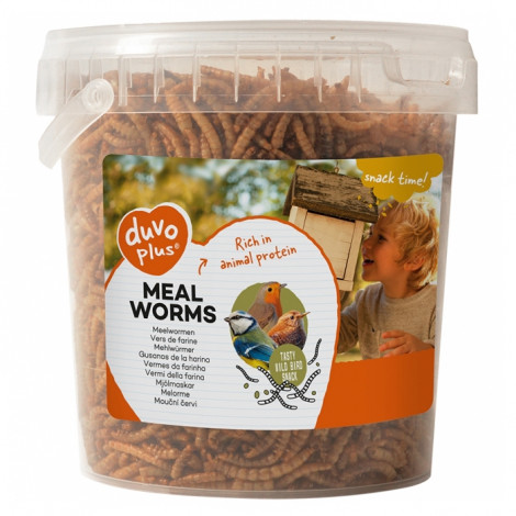 Duvo+ Meal Worms Snacks para aves selvagens