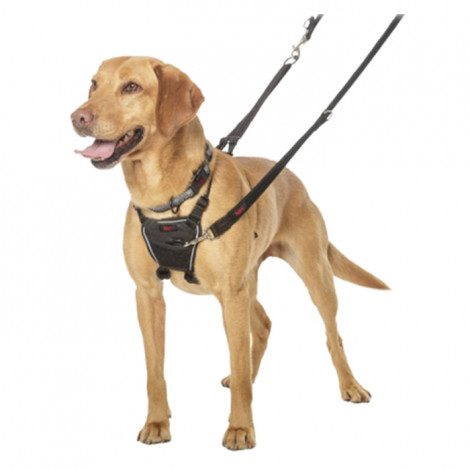 The Company of Animals Halti no Pull Harness