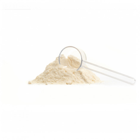 Lory Dry 15Kg