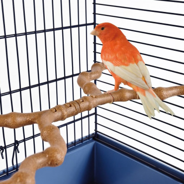 Kit Posadero Rama para pájaros