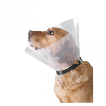 Collar isabelino Buster...