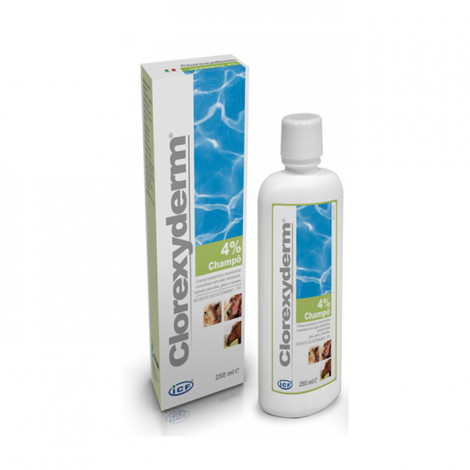 Champô Clorexyderm 4%