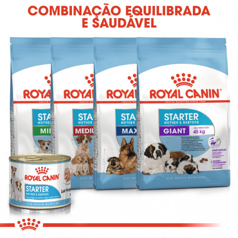 Ração para cão Royal Canin Mother & Babydog Starter Mousse Húmida