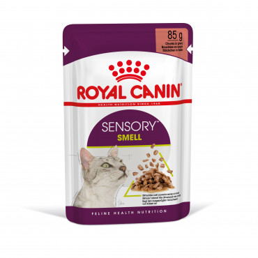 Royal Canin Sensory Smell Gato adulto - Em molho