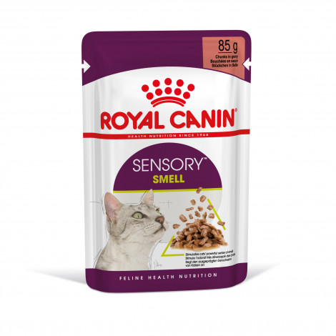 Royal Canin Sensory Smell Gato adulto - Em molho