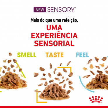 Royal Canin Sensory Smell Gato adulto - Em molho